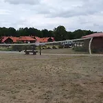 Szara Czapla Borowy Mlyn