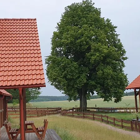 Szara Czapla Casa vacanze *