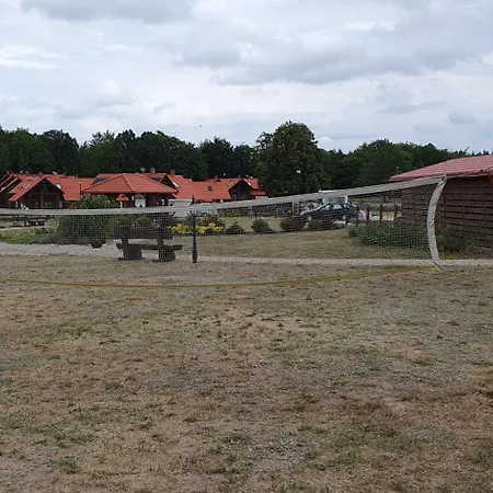 Szara Czapla Borowy Mlyn