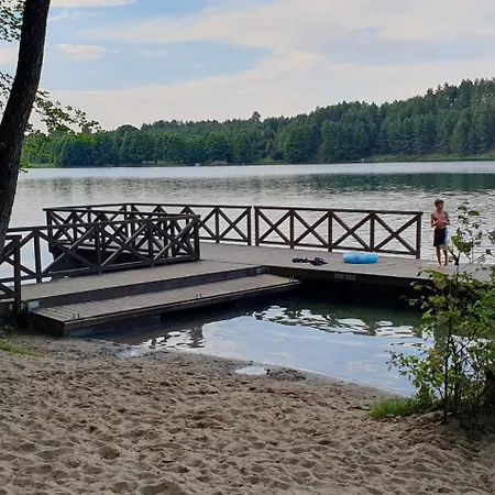 Szara Czapla Borowy Mlyn