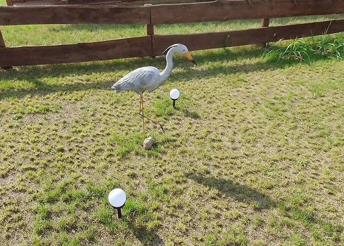 Szara Czapla Σπίτι διακοπών